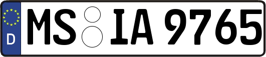 MS-IA9765