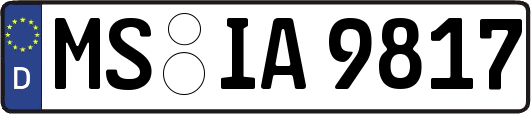 MS-IA9817