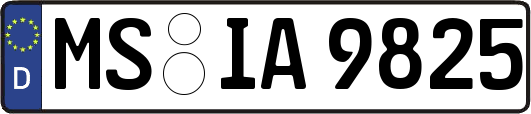 MS-IA9825
