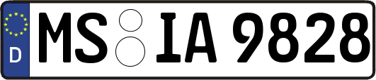 MS-IA9828