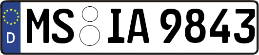 MS-IA9843
