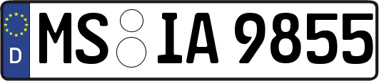 MS-IA9855