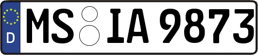 MS-IA9873