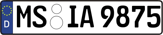 MS-IA9875