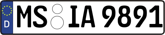 MS-IA9891