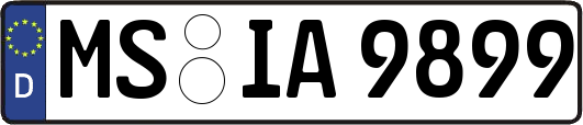 MS-IA9899