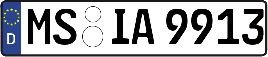 MS-IA9913
