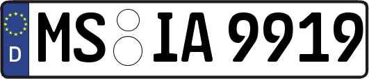 MS-IA9919