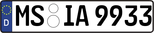 MS-IA9933