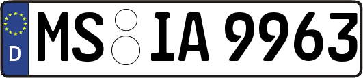 MS-IA9963