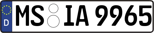 MS-IA9965