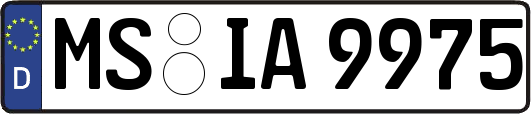 MS-IA9975