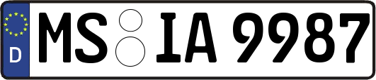MS-IA9987