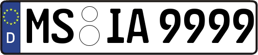 MS-IA9999