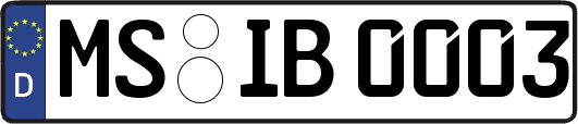 MS-IB0003