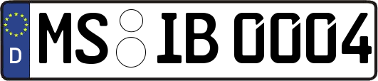 MS-IB0004