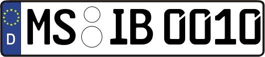 MS-IB0010