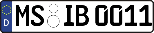 MS-IB0011