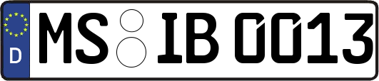 MS-IB0013