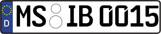 MS-IB0015