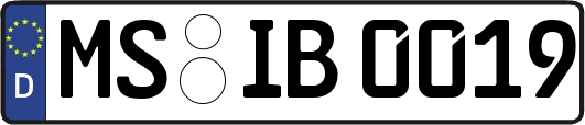 MS-IB0019