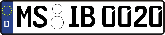 MS-IB0020