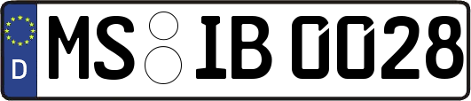 MS-IB0028