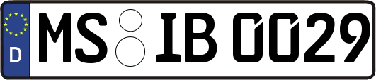 MS-IB0029