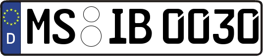 MS-IB0030