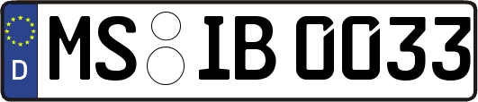 MS-IB0033