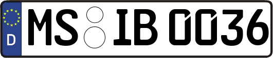 MS-IB0036