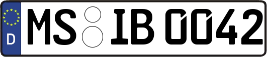 MS-IB0042