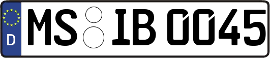 MS-IB0045