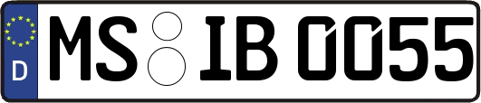 MS-IB0055