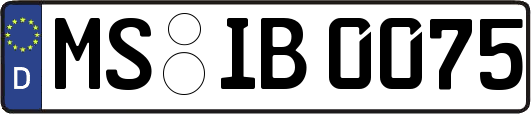 MS-IB0075