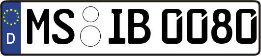 MS-IB0080