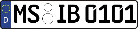 MS-IB0101