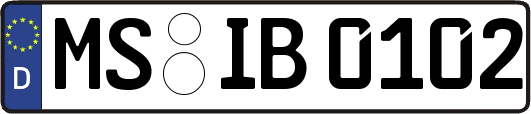 MS-IB0102