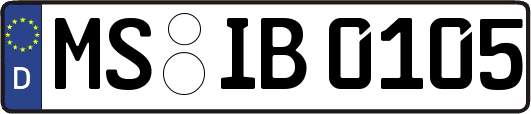 MS-IB0105