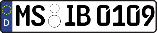 MS-IB0109