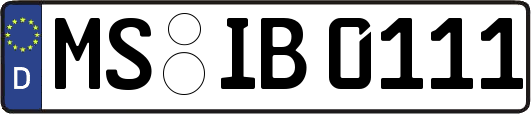 MS-IB0111