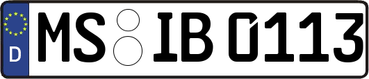 MS-IB0113