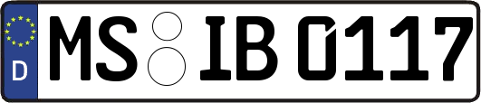 MS-IB0117