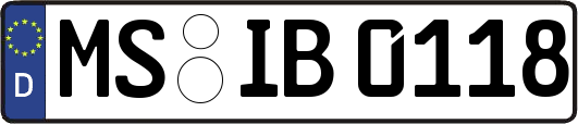 MS-IB0118