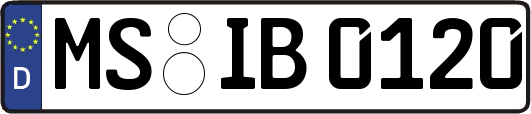 MS-IB0120