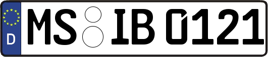 MS-IB0121