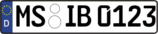 MS-IB0123