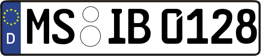 MS-IB0128