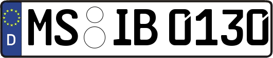 MS-IB0130
