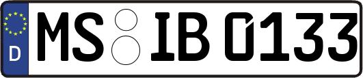 MS-IB0133